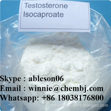 Testosterone Steroid Powder Testosterone Isocaproate